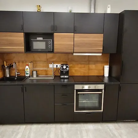 Apartment Da Vinci Loft *